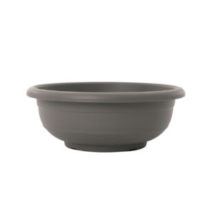 Kineret bowl