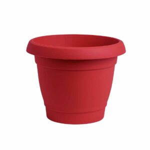 Carmel flower pot