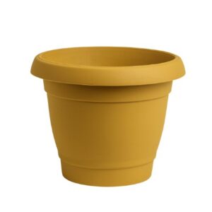 Carmel flower pot