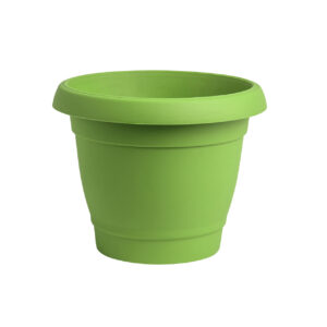 Carmel flower pot