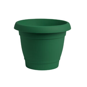 Carmel flower pot