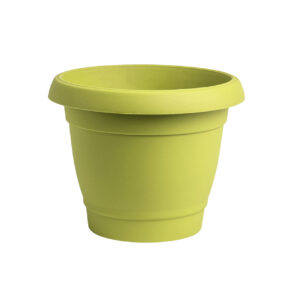 Carmel flower pot