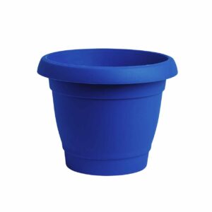 Carmel flower pot