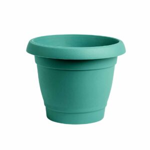 Carmel flower pot