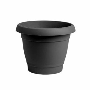 Carmel flower pot