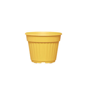 Nitzan flower pot