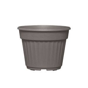 Narkis flower pot