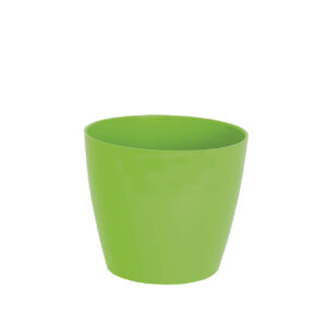 Sapir flower pot