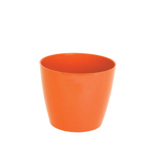 Sapir flower pot