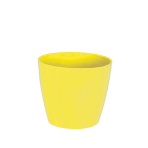 Sapir flower pot