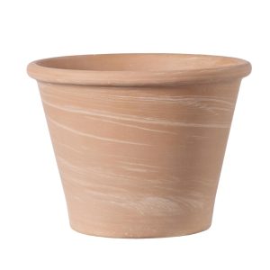 Toldo Terracotta Pot