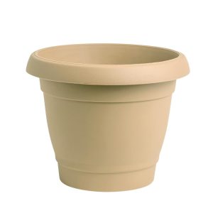 Carmel flower pot